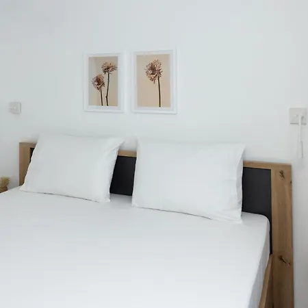 公寓式酒店 Flamingo Living Halkidiki - The *