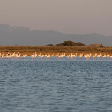 Aparthotel Flamingo Living Halkidiki - The