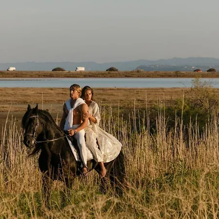 Flamingo Living Halkidiki - The Aparthotel Agios Mamas (Chalkidiki)