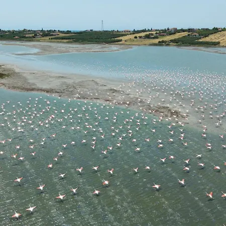 Flamingo Living Halkidiki - The 公寓式酒店