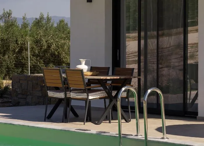 Lejlighedshotel Flamingo Living Halkidiki - The Agios Mamas (Chalkidiki)