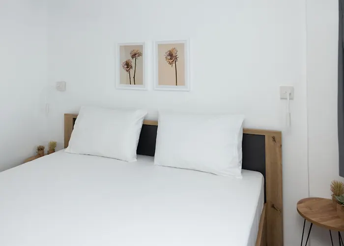 Lejlighedshotel Flamingo Living Halkidiki - The *