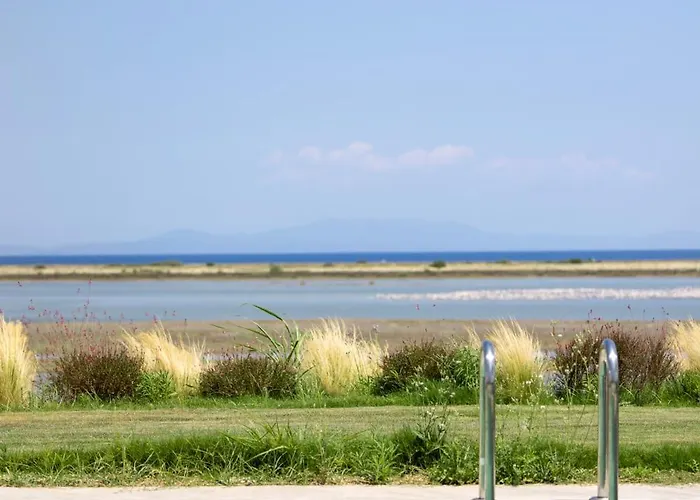 Flamingo Living Halkidiki - The