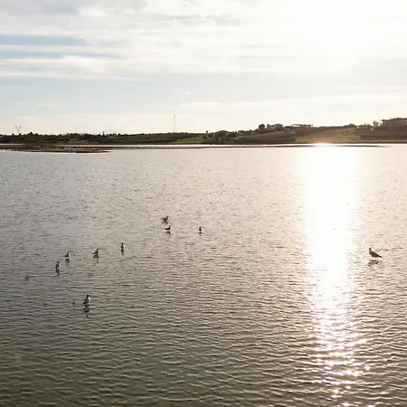 Flamingo Living Halkidiki - The