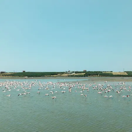 Lägenhetshotell Flamingo Living Halkidiki - The
